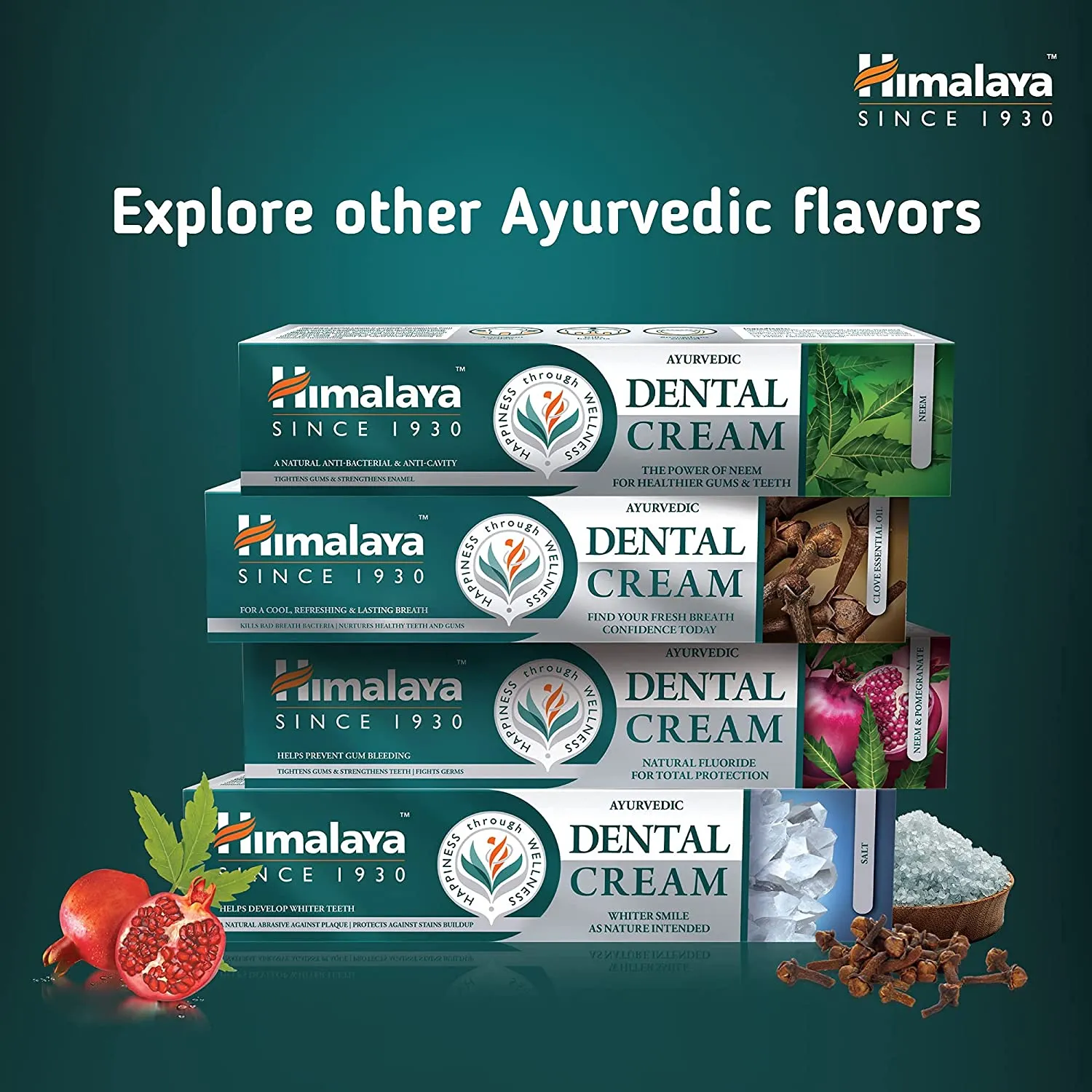 Himalaya Ayurvedic Dental Cream Herbal Toothpaste - Clove - 100 g